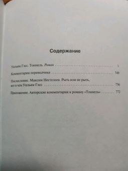 Уильям Гэсс: Тоннель