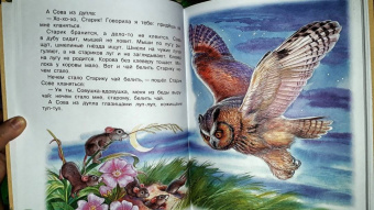 Паустовский, Бианки, Сладков: Лучшие сказки про зверей