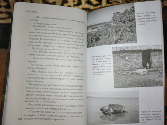 Пол Уилсон: Bad Karma. История моей адской поездки в Мексику