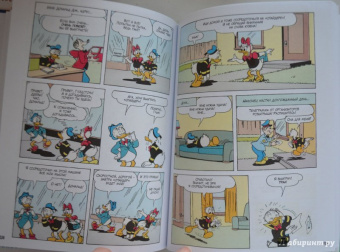 Консина, Кордара, Чимино: Дональд Дак. Невезучий, как я