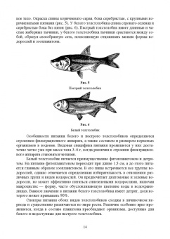Власов, Жигин: Технология производства продукции биоресурсов. Учебное пособие