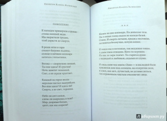 Среди печальных бурь. Из польской поэзии XIX-XX веков