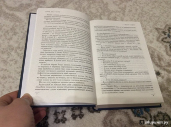 Терри Пратчетт: Пятый элефант. Ночная Стража