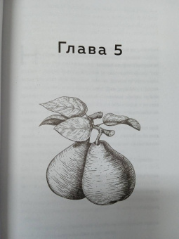 Зора Хёрстон: Их глаза видели Бога. Роман о любви и надежде