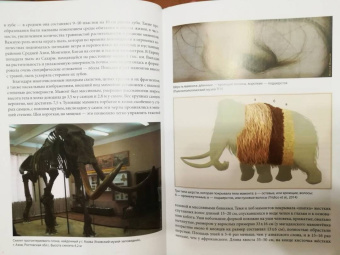 Андрей Шпанский: О мамонтах и их спутниках. Палеоэкология мамонтовой фауны