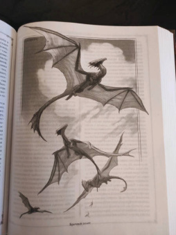 Мари Бреннан: Естественная история драконов. Омнибус