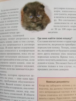 Доминик Кизельбах: Персидская кошка. Содержание и уход