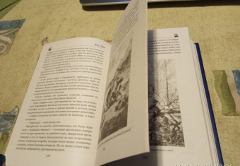 Жюль Верн: Школа робинзонов. Найденыш с погибшей "Цинтии"