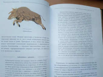 Станислав Дробышевский: Палеонтология антрополога. Иллюстрированный путеводитель в зверинец прошлого