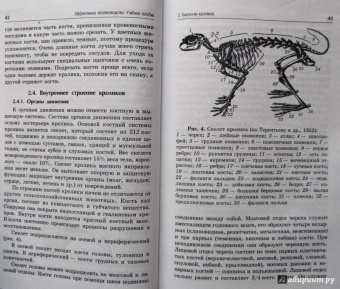 Комлацкий, Логинов, Комлацкий: Эффективное кролиководство. Учебное пособие