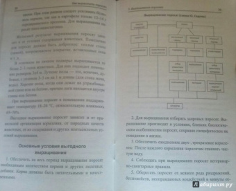 Юрий Седов: Как вырастить поросят? разведение, содержание, уход