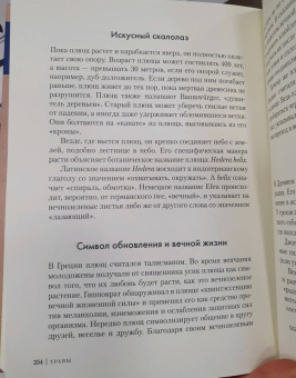 Урсула Штумпф: Травы. Природный источник жизненной силы