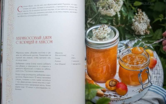 Наталья Оконешникова: Вкусный год. Чудесные пироги, десерты и закуски с вареньями и маринадами