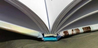 Павел Бажов: Серебряное копытце