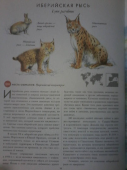 Радек Мали: КРАСНАЯ КНИГА. Животные на грани вымирания