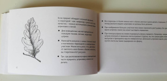 Анна Николаева: Скетчбук по ботанической иллюстрации. Простые пошаговые уроки по рисованию цветов и растений