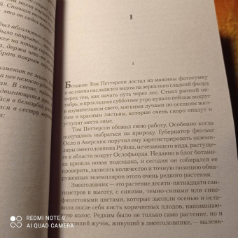 Самюэль Бьорк: Сова