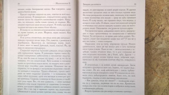 Елена Малиновская: Западня для нечисти