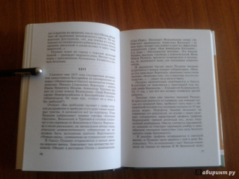 Владимир Новиков: Пушкин