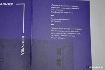 Вальзер, Шишкин: Прогулка