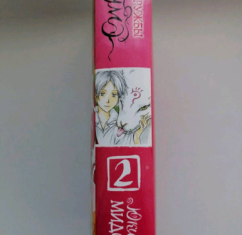 Юки Мидорикава: Тетрадь дружбы Нацумэ. Том 2