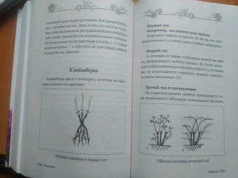 Лариса Кочелаева: Энциклопедия цветовода
