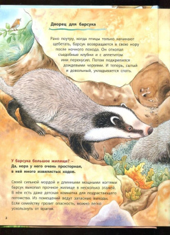 Фридерун Райхенштеттер: Животные-строители. Познавательные истории