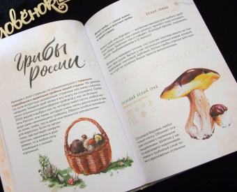 Михаил Вишневский: Грибы. Атлас-определитель