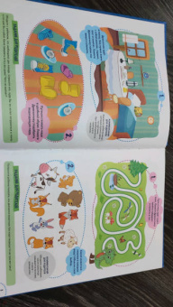 Ирина Овчинникова: Годовой курс развития внимания у ребенка. 4-5 лет