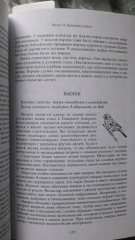 Тэд Эндрюс: Определи свой тотем. Полное описание магических свойств животных, птиц и рептилий