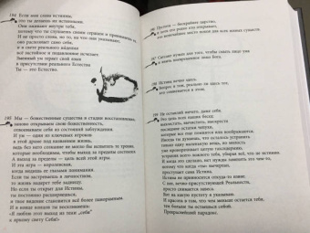 Муджи: Белый огонь. Духовные Откровения и Указатели Мастера Адвайты
