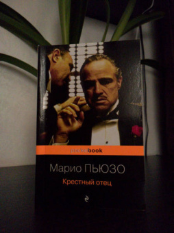 Марио Пьюзо: Крестный отец
