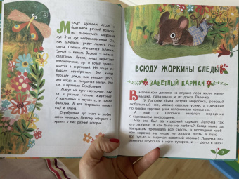 Ирина Антонова: Сказки о зверятах