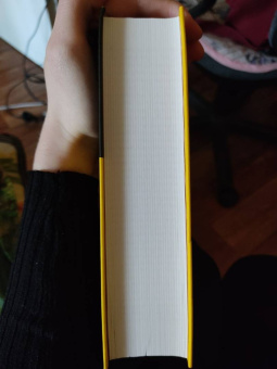 Федор Достоевский: Братья Карамазовы