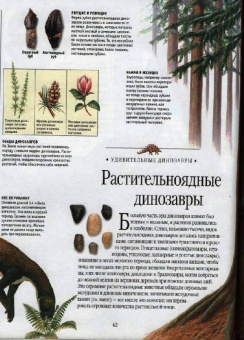 Самая красивая энциклопедия животных