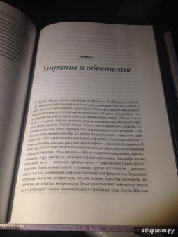 Ежи Фицовский: Регионы великой ереси и окрестности. Бруно Шульц и его мифология
