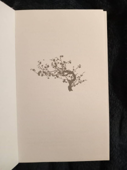 Ясмин Шакарами: Дождь в Токио