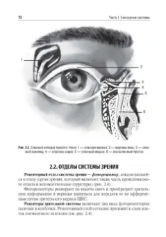 Смирнов, Умрюхин: Физиология сенсорных систем. Высшая нервная и психическая деятельность, поведение. Учебное пособие