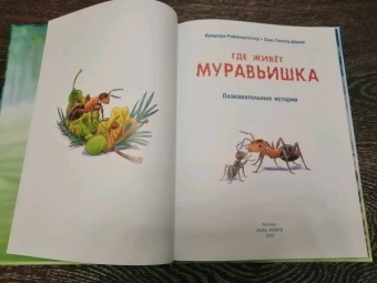 Фридерун Райхенштеттер: Где живёт муравьишка. Познавательные истории