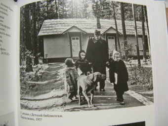 Корней Чуковский: Дни моей жизни