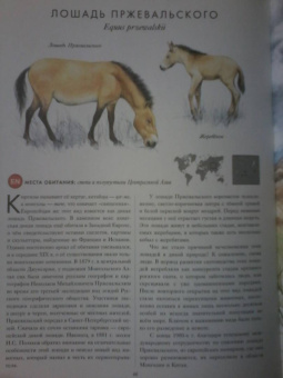 Радек Мали: КРАСНАЯ КНИГА. Животные на грани вымирания