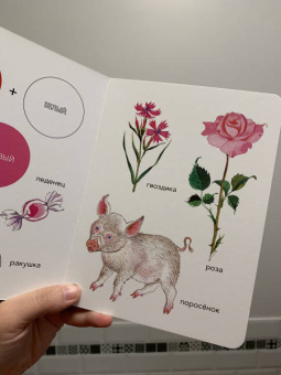 Елена Ивановская: Моя первая книжка о цвете