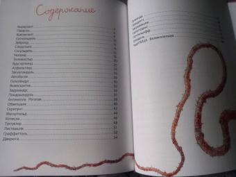 Анна Никольская: Книга чудулищ