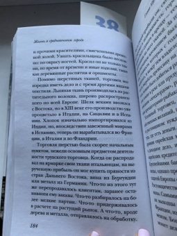 Гис, Гис: Жизнь в средневековом городе