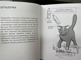 Анна Орлова: Самяучитель. Как правильно играть с кошкой