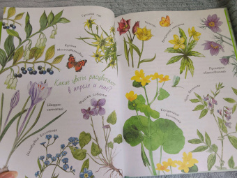 Николай Сладков: Лесные сказки