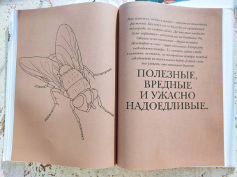 Барт Россел: Поразительные насекомые. Книга про подземных математиков, мастеров блефа, дружных кочевников, зомби