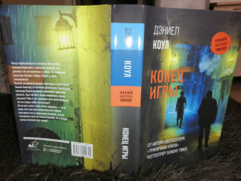 Дэниел Коул: Конец игры