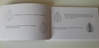 Анна Николаева: Скетчбук по ботанической иллюстрации. Простые пошаговые уроки по рисованию цветов и растений