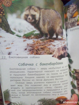 Александр Тихонов: Лесные тайны